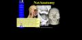 NetAnatomy