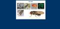 Mutace a Mendelovy zákony - Fly-net